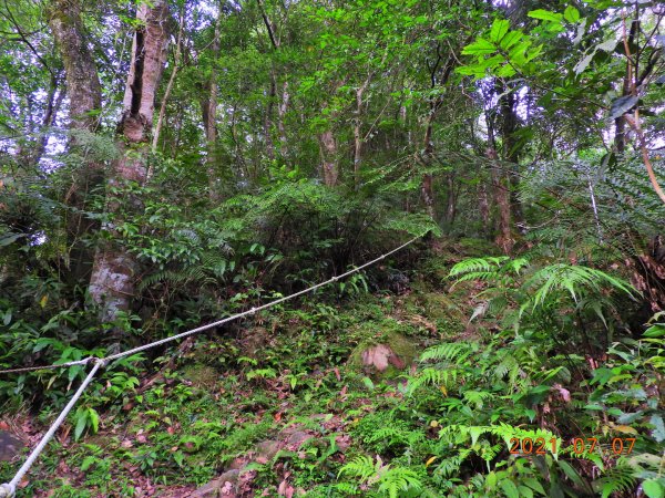 新北 坪林 九芎根山1422941