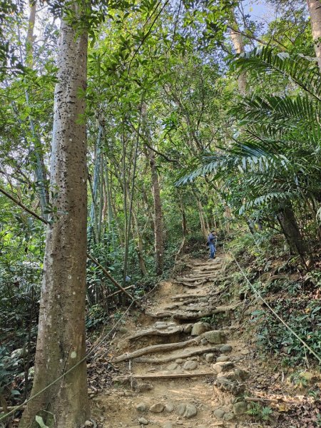 2024.01.02 飛鳳山2832138