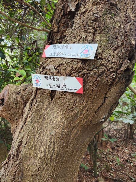 112/2/23龍鳳連稜2148221