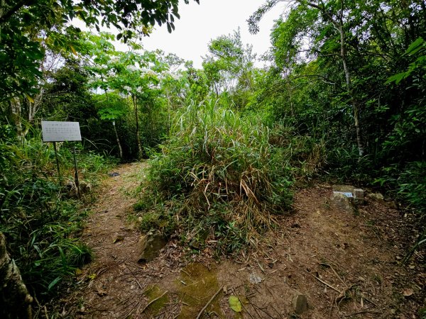 加奈美山-小百岳#95-台東縣大武鄉2777003