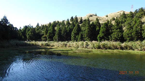 秋高氣爽芒花季再度陽明山天際線-七星山主東峰+大屯山主南西峰向天面天山O型+小觀音山主西南峰共10峰1511061