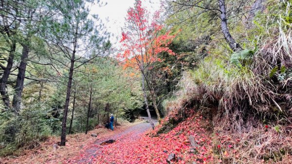 1101129北三錐山.天池1531947