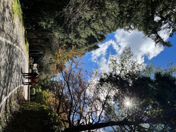 20231127_觀霧榛山步道（森遊竹縣）2763081