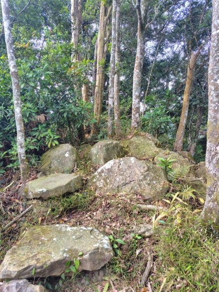 鳳鳴古道 鳳鳴山 南隘勇（南長城）古道 三湖山 八達嶺（龍骨）古道 綠色古道 延平古道2975307