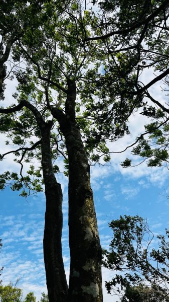 1140419鳴鳳古道2765879