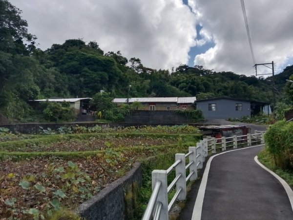 雙溪區雙澳崙+土地公嶺保甲路+青雲古道+遠景古道O型2910415