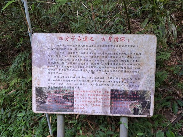 淡蘭南路第三段：四分子至魚逮魚堀溪自行車道3104930