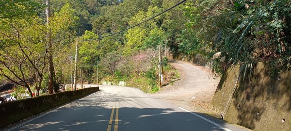 仙山+上大窩山-2022/02/281622343