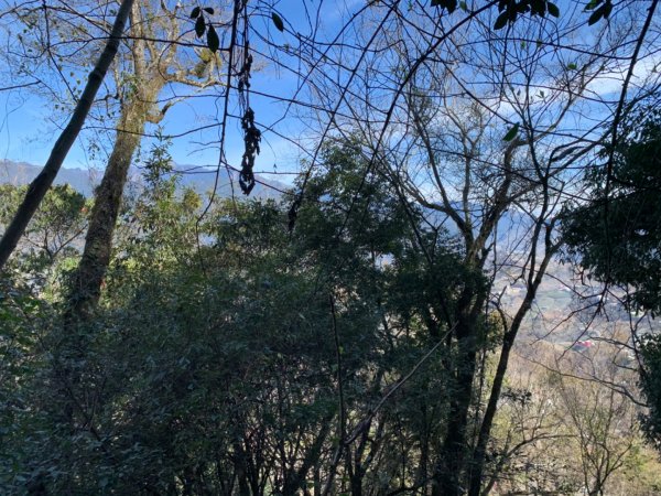 梨山賓館步道875969