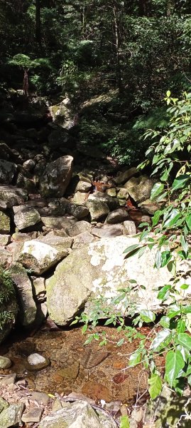 【桃園-臺灣百大必訪步道】東滿步道1283128