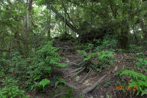 臺東 海瑞 戒茂斯山2193168