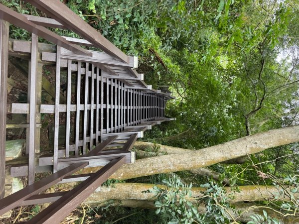 后里觀音山 鳳凰山2816251