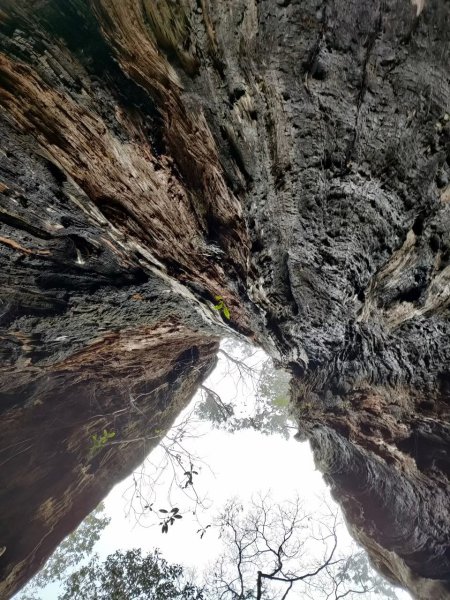 雪季北得拉曼2956434