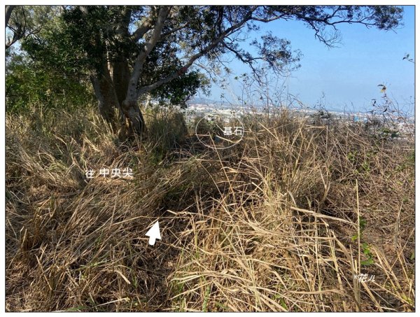 中央尖、山背伯公步道O型路線2708784