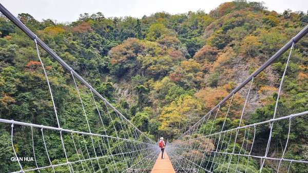 【霞喀羅國家步道】百大最美必訪步道，白石吊橋夢幻楓紅季節-養老登山口