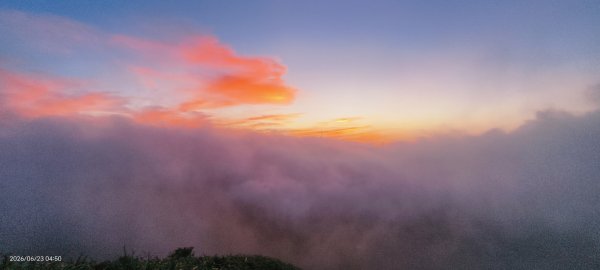 #大屯山 #日出 #雲海 #火燒雲 #霞光 #青斑鳳蝶 #青帶鳳蝶 #臺灣粉蝶 6/233078158