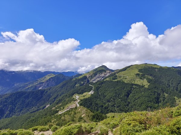 南投/花蓮-合歡北峰3053831