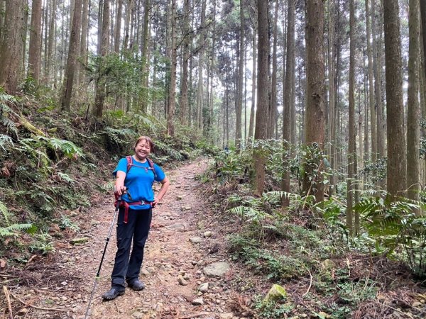 鵝公髻山（小百岳）鵝公髻山東北峰2449837