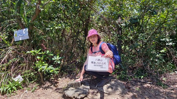 (姨婆趴趴走)第四十三集:攀登連走奇岩山、軍艦岩、丹鳳山2499547