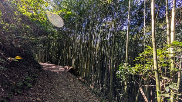 霞喀羅國家步道養老段2349336