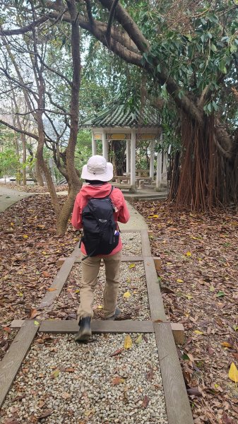 2025-0204 鶯歌_大凍山_三角埔頂山_迴龍2707966