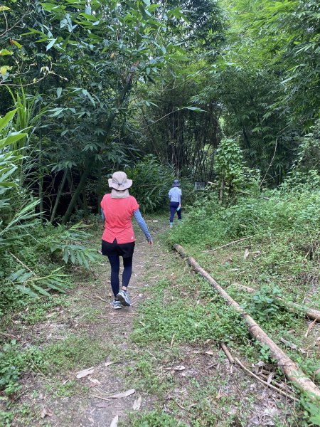 20250706-EP.08四寮溪生態步道-2025森遊竹縣皮皮獅探險隊2851850