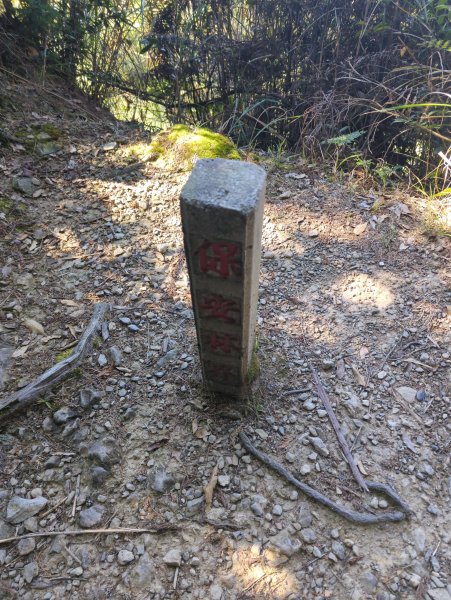 2025.12.06－北坑山步道&雪見遊憩區2956245