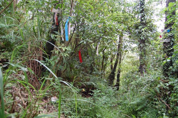 石門山(汐止,七堵)1964963