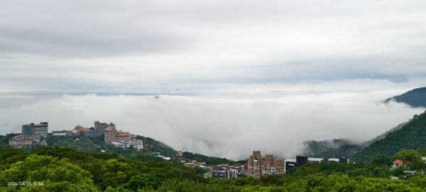 #文化大學 #雲海 #琉璃光 #陽明山秘境 4/253042450