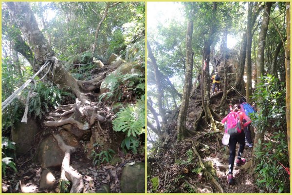 獅潭仙山步道444244
