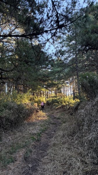 中央尖山 2025 11/7 三天兩夜2935755