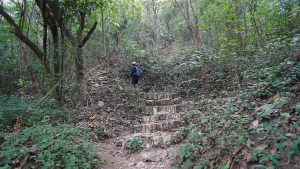 小百岳集起來_笠頂山登山步道2368362