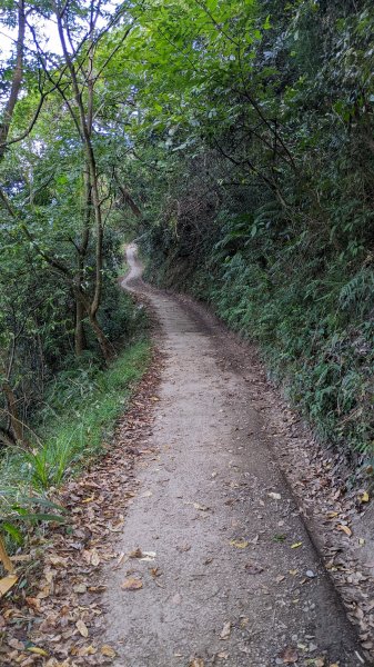 八通關上玉山群峰朝陽晚霞雲（ 無前西北三峰)1892179