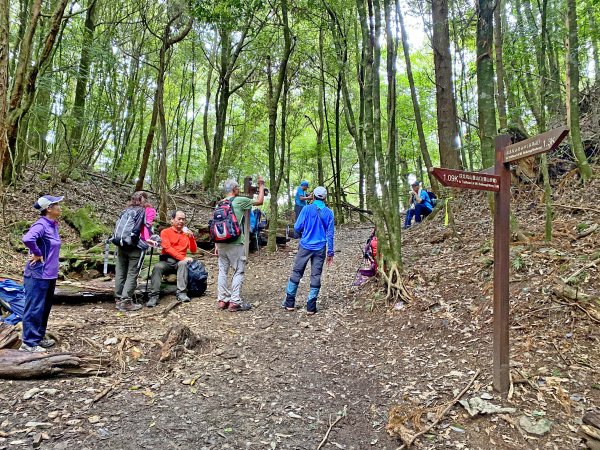 再訪雪見北坑山大板根 2020/9/51092530