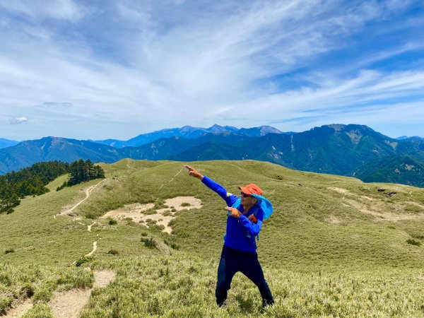 合歡山七連峰的空中花園賞花趣3073109