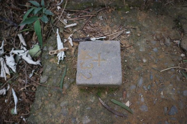 〔內湖〕文間山，劍南蝶園，劍潭古寺，婆婆橋 鄭成功廟步道2249272