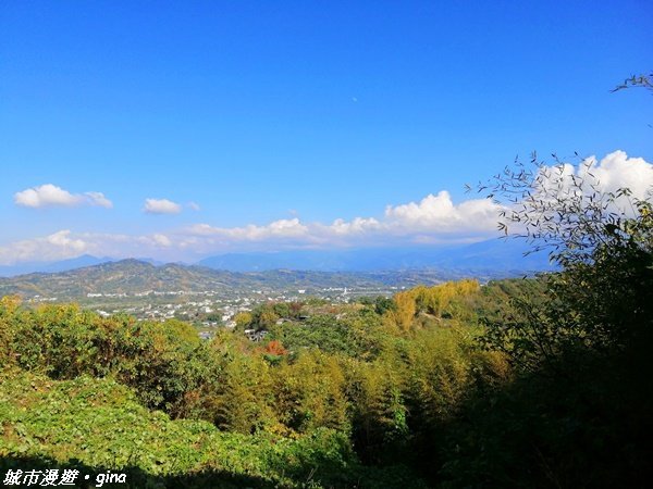 台中~繽紛山行路太忘憂。 五福臨門步道1289222