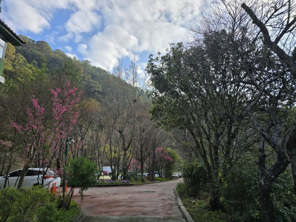 20250228 桃山+池有山