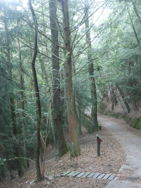 桃山瀑布步道．武陵415421