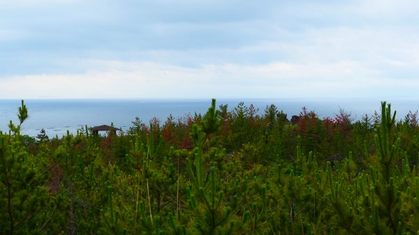 南九州－櫻島有村溶岩,桷志田,高千穗牧場,霧島神宮3063829