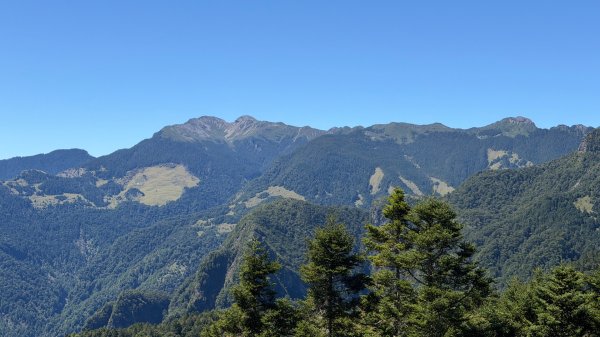 一日單攻桃山2903273