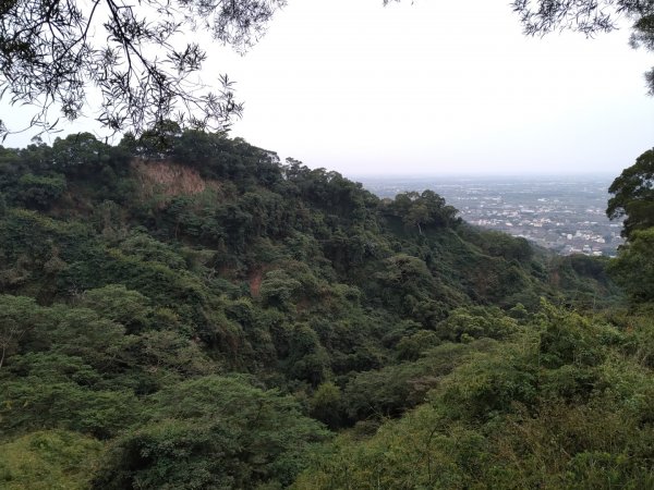 鼓山尖峰泡茶趣---田中森林登山步道815371