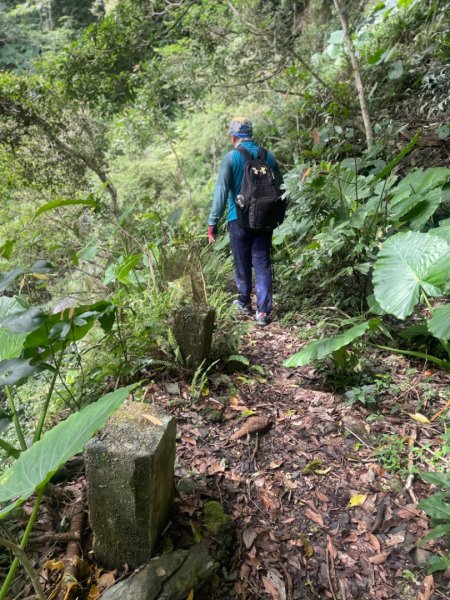 烏來西坑林道/探勘派出護管所彈藥庫遺址至獅坑橋2576284