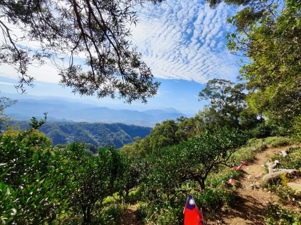 飛鳳山觀日坪古道2656248