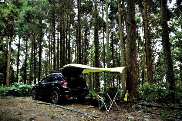 羅山林道登油羅山1869795