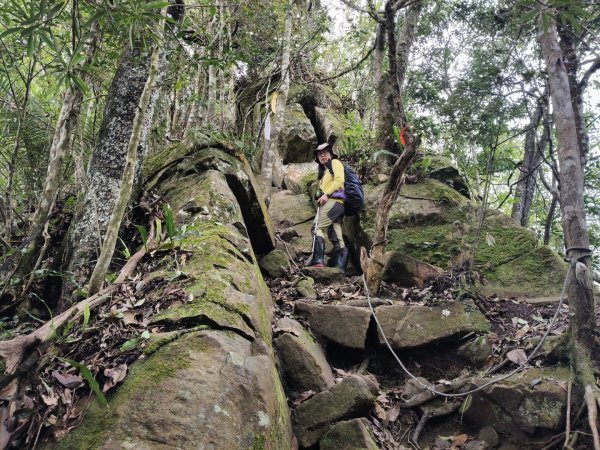 向天湖三山+ 南大龜山3012338