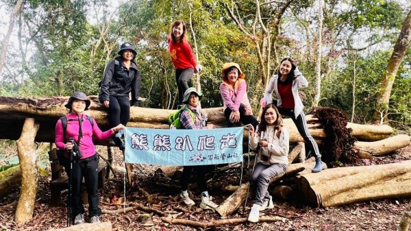 〽️12/25（三）聖誕節~楓紅了🍁~馬拉邦(小百岳)賞楓眺望聖稜線2676375