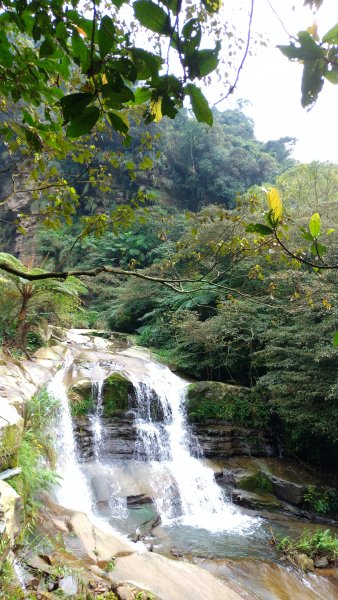 姜子寮公園.姜子寮絕壁910388