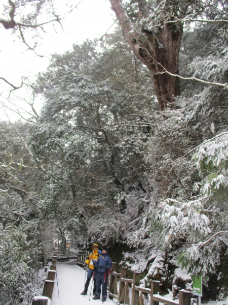 拉拉山之雪263069