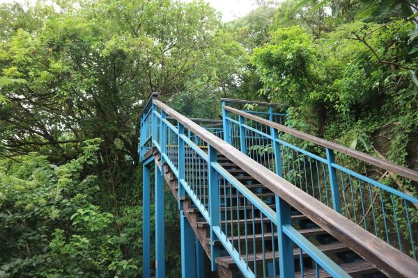 〔內湖〕文間山，劍南蝶園，劍潭古寺，婆婆橋 鄭成功廟步道2249180